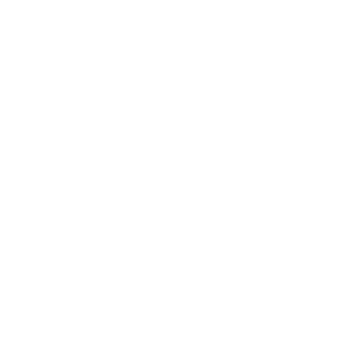 TAO OF QI